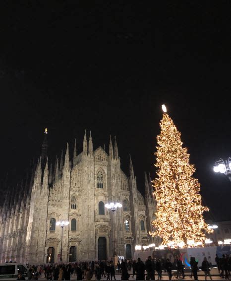 gucci albero duomo
